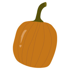 Orange whole pumpkin, autumn decorative.Vector hand drawn