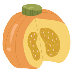 Yellow halves pumpkin, autumn decorative.Vector hand drawn cartoon