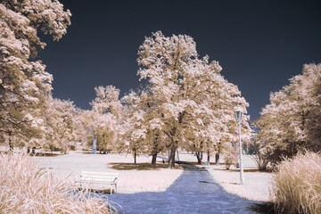infrared photography - surreal ir photo of landscape with trees under cloudy sky - the art of our...