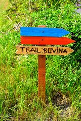 paths to be covered on foot divided into colors in sale san giovanni cuneo italy