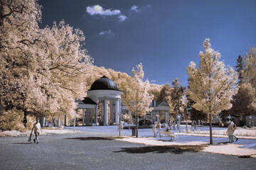 infrared photography - surreal ir photo of landscape with trees under cloudy sky - the art of our...