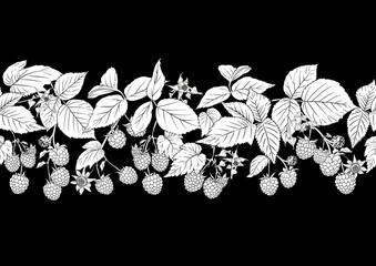 Raspberry. Ripe berries on branch. Seamless pattern, background. Outline drawing. Vector illustration in black and white colors