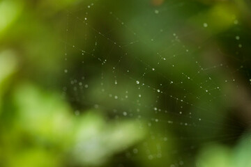 Various views of the monsoon season