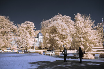 infrared photography - surreal ir photo of landscape with trees under cloudy sky - the art of our...