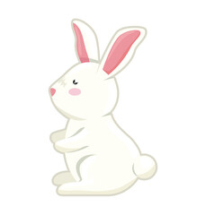 cute rabbit animal