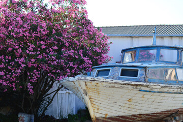 Widok Chorwacja wyspa Murter © patrycjaskupinska