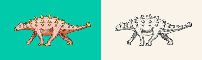 Dinosaur Ankylosaurus, Talarurus, Euoplocephalus, Saltasaurus, Jurassic. Engraved vintage Hand drawn sketch for t-shirt print or poster.