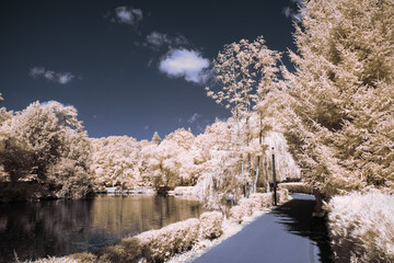 infrared photography - surreal ir photo of landscape with trees under cloudy sky - the art of our...