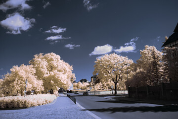 infrared photography - surreal ir photo of landscape with trees under cloudy sky - the art of our...