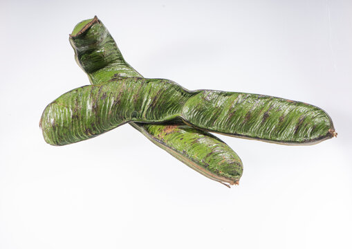 Guama tropical fruit - Inga edulis