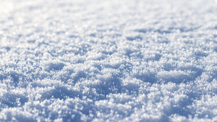 Texture of fluffy snow in sunny weather, winter background