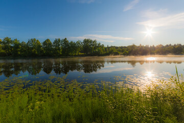 the bright blue sky at dawn is beautifully reflected in the mirror of the pond
