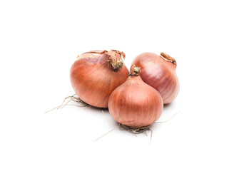 Fresh organic onions close up on isolated white background