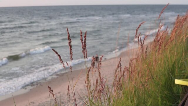 Beautiful video from the cliff to the beach, Para strolls along the sandy beach by the sea in the summer.