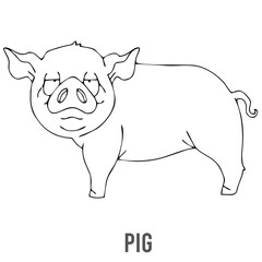 Coloring page for preschool children. Learn numbers for kindergartens and schools. Educational game. Vector illustration
