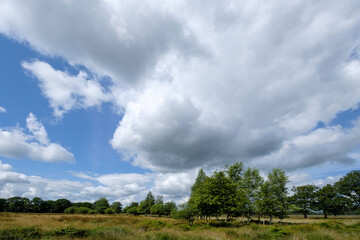 Naturereserve Doldersummerveld, Drenthe Province, The Netherlands