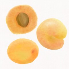 Naklejka na ściany i meble Juicy orange fruits, apricots, several pieces on textured watercolor paper, isolated on a white background 