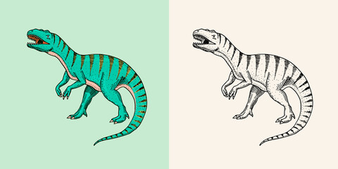 Dinosaurs Tyrannosaurus rex, Afrovenator, Megalosaurus, Tarbosaurus, Struthiomimus skeletons, fossils. Prehistoric reptiles, Animal. Engraved vintage Hand drawn sketch for t-shirt print or poster. © artbalitskiy