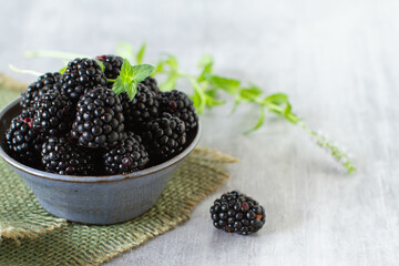 Bowl with fresh blackberries on a grey table