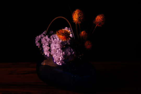 Flowers of the night. . . Flower Dark photography a position of the color palette in harmonic progression.