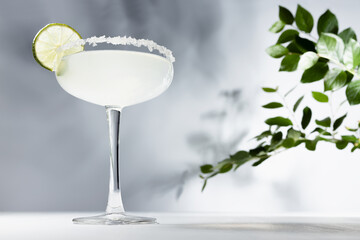 Spring fresh muddy margarita cocktail with sugar rim, slice lime in hard light of sun with shadows in elegant abstract minimal white and grey interior.