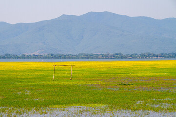 Greece, Landscape of Lake Kerkini