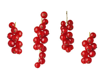 branches of red currant isolated on white background