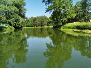 Fototapeta na wymiar landscape of Pavlovsk Park wooded shore canals summer day