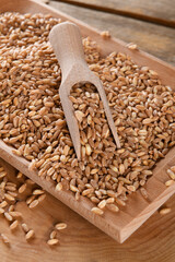 Wholegrain uncooked raw spelt farro in wooden plate on wooden background, close up