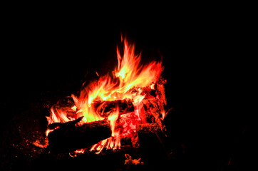 Warm and hot camp fire on night