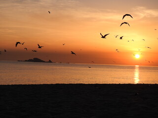 sunset on the beach