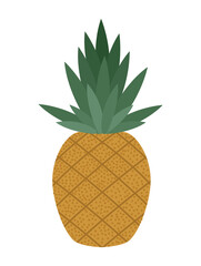 pineapple fresh fruit