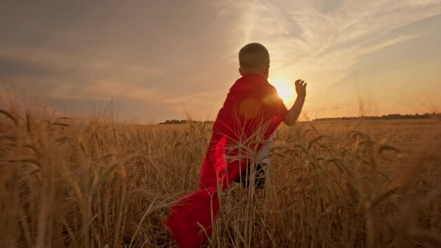 Happy blond boy in red hero cloak running away through meadow wheat field in rays of sunbeams and setting sun. Fun carefree childhood, freedom and dream of flight, children games. Back view shoot.