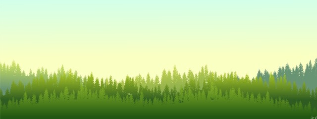 Obraz na płótnie Canvas Foggy morning in coniferous forest. Silhouettes of trees. Wild hilly landscape. Sunrise. Pine, cedar. Landscape is horizontal. Illustration vector