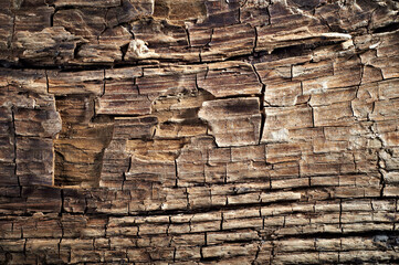 Old grunge dark textured wooden background. The surface of the old brown wood texture
