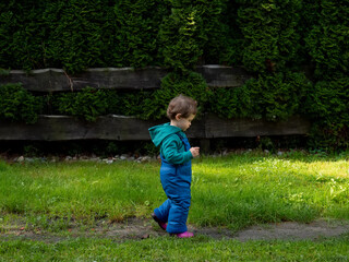 little boy overalls play in the garden