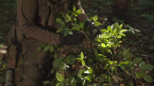 Young soldier preparing tactical sniper camouflage clothing, weaving leaves into military ghillie suit cloak in forest at dawn. Marksman equipped position for shooting. Sniper rifle on front ground