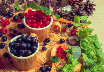 Berry composition of red and black currants, which was brought from the village garden