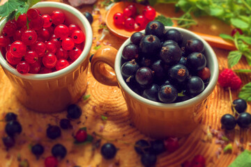Close-up of fresh and juicy country berries in small cups