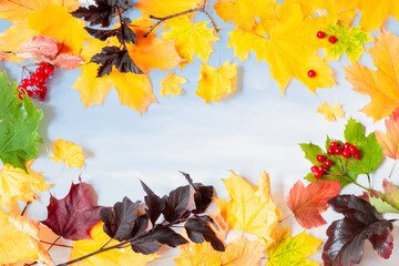 Naklejka na ściany i meble Frame composed of colorful autumn leaves over blue sky