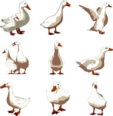 duck set vector