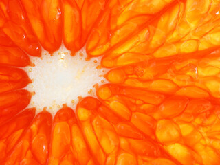 Orange grapefruit slice, macro