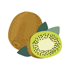 kiwi fresh fruit