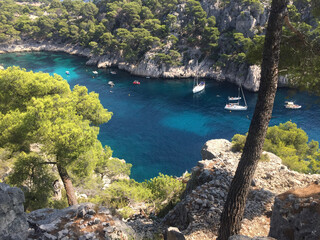 The Calanque de Port-Pin is located between the creeks of Port-Miou and En-Vau and is very popular with tourists. It owes its name to the Aleppo pines that cover the cliff faces on both sides.