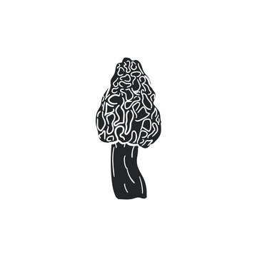 Morel Mushroom Icon Silhouette Illustration. Morchella Vulgaris Vector Graphic Pictogram Symbol Clip Art. Doodle Sketch Black Sign.