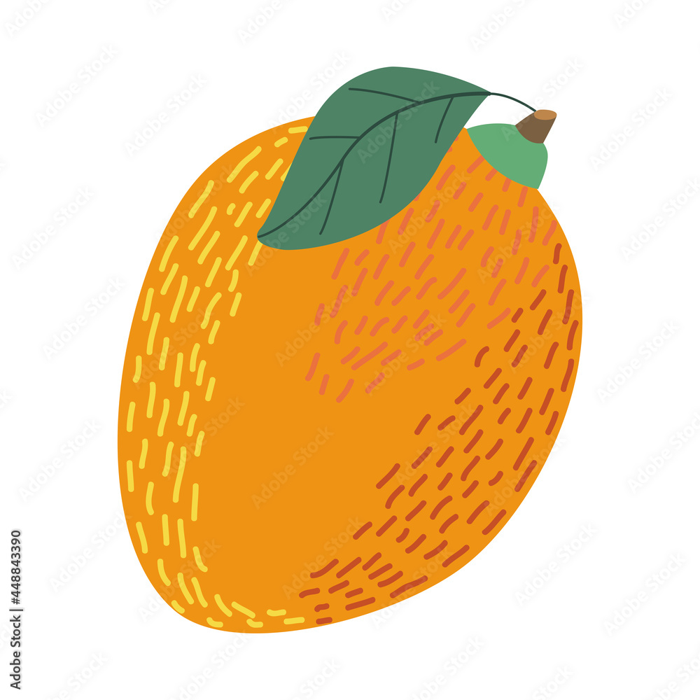 Poster fresh mango fruit