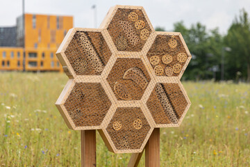 Insect hotel with hexagon shapes made of natural materials like wood with holes, bamboo sticks and...