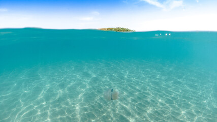 Underwater in sandy sea, undersea, diving to ocean bottom, under ocean, crystal clear water, blue...