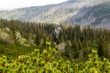 Fototapeta premium Hala Gasienicowa with a visible mountain shelter 