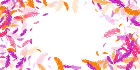 Orange purple pink red feather floating background